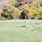 Sky-_MG_0402