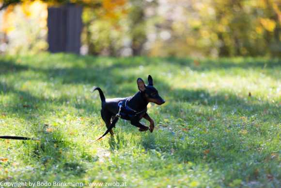 Sky-_MG_0456