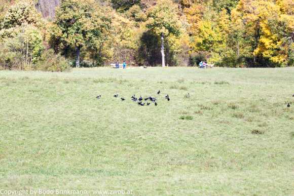 Sky-_MG_0401