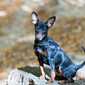 Sky-_MG_0533
