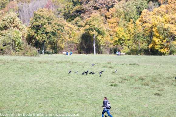 Sky-_MG_0403