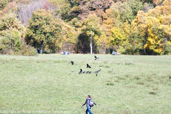 Sky-_MG_0404
