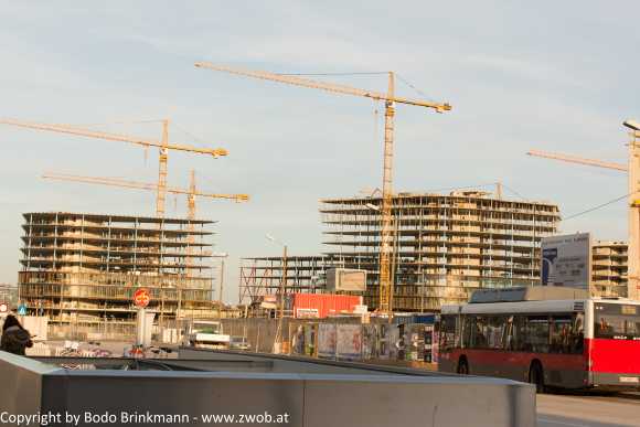 Sky-_MG_0561