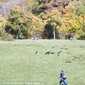 Sky-_MG_0403