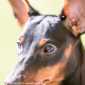 Sky-_MG_0462