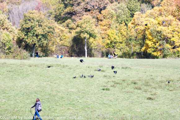 Sky-_MG_0408