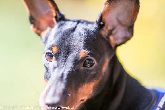 Sky-_MG_0470