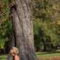 Sky-_MG_0638