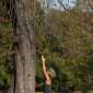 Sky-_MG_0599