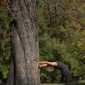 Sky-_MG_0628