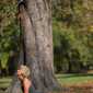 Sky-_MG_0637