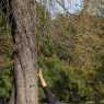 2013-10-20 Lucia Yoga Prater