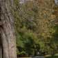 Sky-_MG_0616