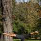 Sky-_MG_0603