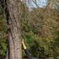 Sky-_MG_0612