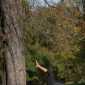 Sky-_MG_0618