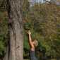 Sky-_MG_0595