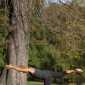 Sky-_MG_0607