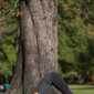 Sky-_MG_0640