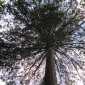 Sky-IMG_0605