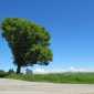 Sky-IMG_0261