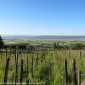 Sky-IMG_0220