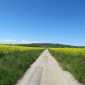 Sky-IMG_0250