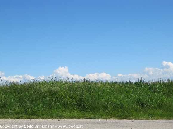 Sky-IMG_0262