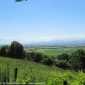 Sky-IMG_0242