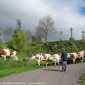 Sky-IMG_0407