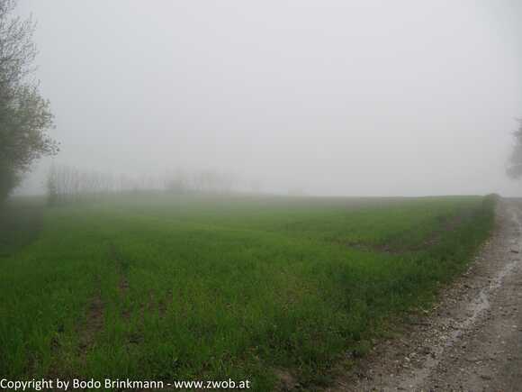Sky-IMG_0064