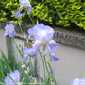 Sky-IMG_0580