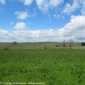 Sky-IMG_0524