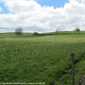 Sky-IMG_0505