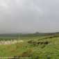 Sky-IMG_0553
