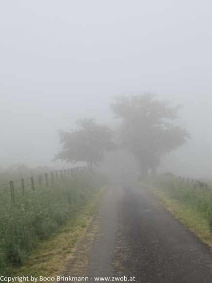 Sky-IMG_0740