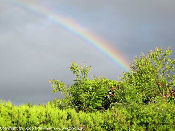 Sky-IMG_0716