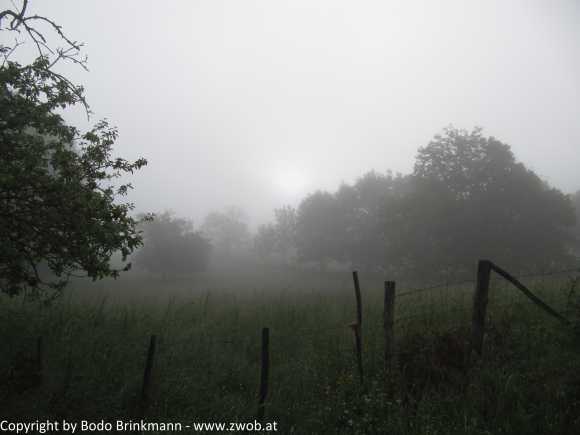 Sky-IMG_0731