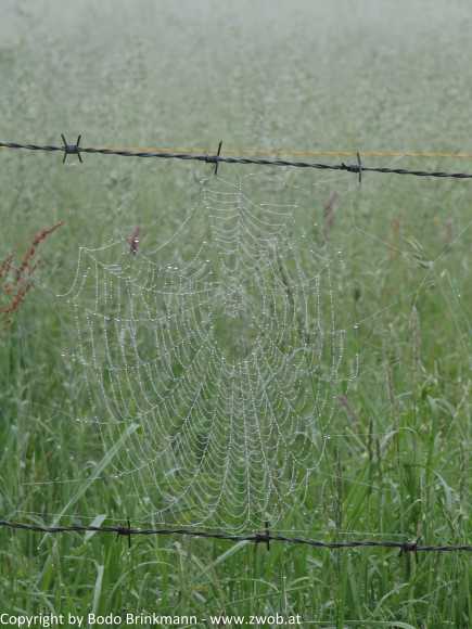 Sky-IMG_0724