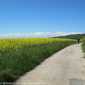 Sky-IMG_0251