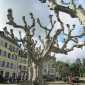 Sky-IMG_0049
