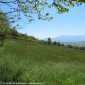 Sky-IMG_0169
