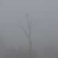 Sky-IMG_0741