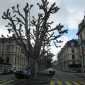 Sky-IMG_0044
