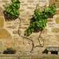 Sky-IMG_0759