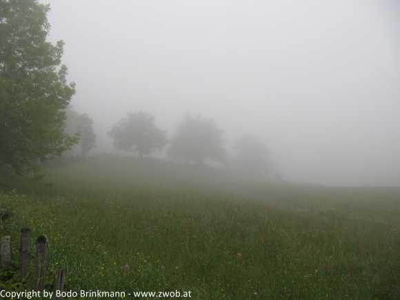 Sky-IMG_0720