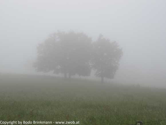 Sky-IMG_0739