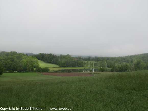 Sky-IMG_0748