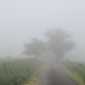 Sky-IMG_0740