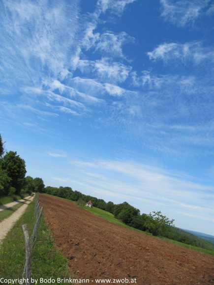 Sky-IMG_0865